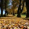 Der Herbst kommt - das Eigenheim wetterfest versichern!