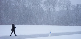Winterstürme im Februar: erneut immense Schadenskosten