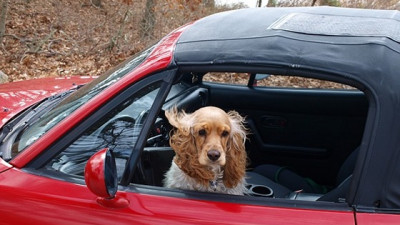 Wenn die Mitfahrzentrale den Versicherungsschutz gefährdet