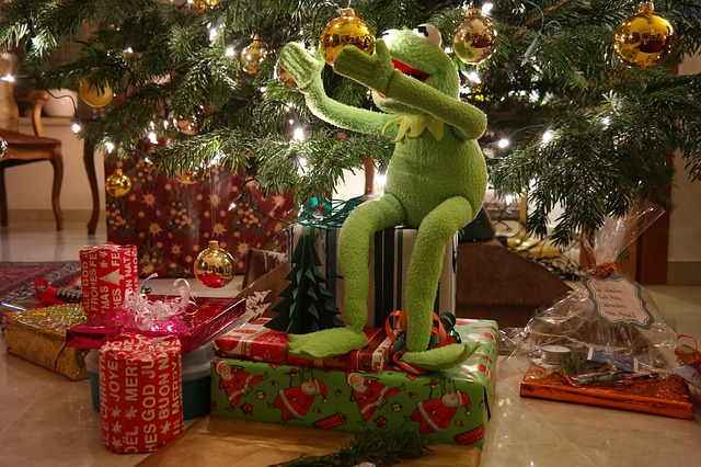 Sicher unterwegs mit dem Weihnachtsbaum