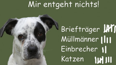 Hausratversicherung Einbruch