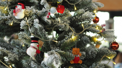 Weihnachtsbäume schaffen eine heimelige Atmosphäre, bedeuten aber auch ein Brandrisiko (Symbolbild).