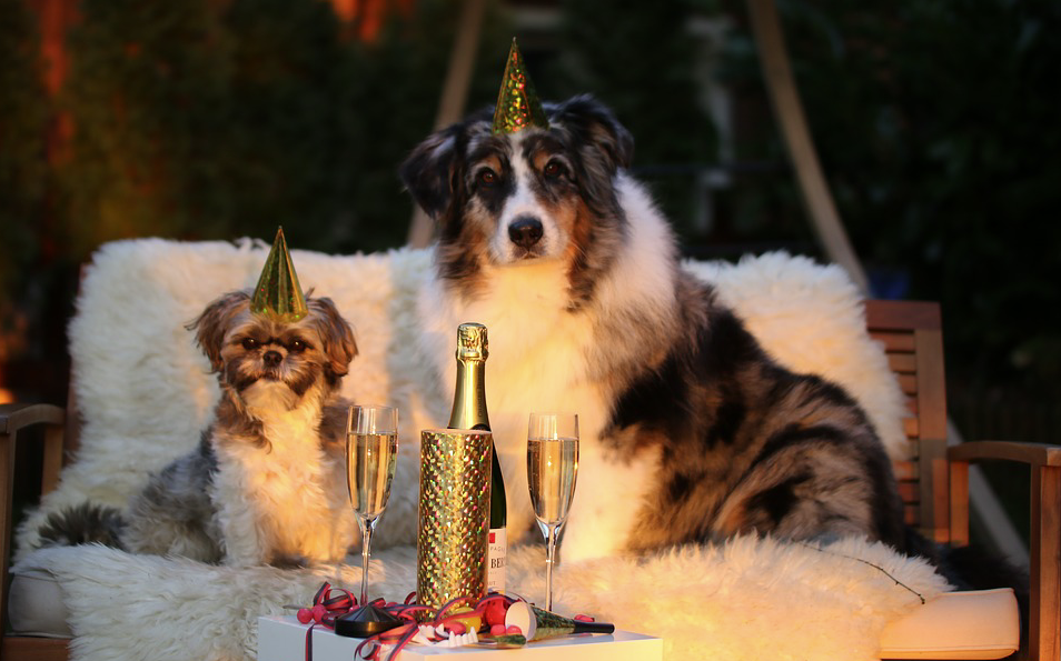 Welche Versicherung zahlt für Silvesterschäden?